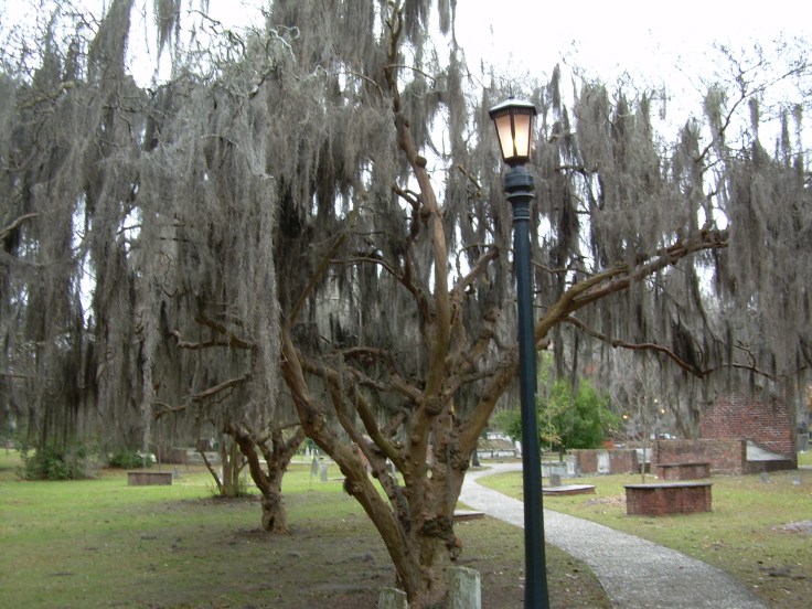 Colonial Park Cemetery - Savannah, GA 