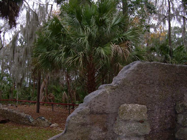 Ruins of Wormsloe Plantation
