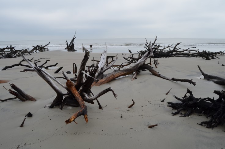 Cabretta Beach - Sapelo Island