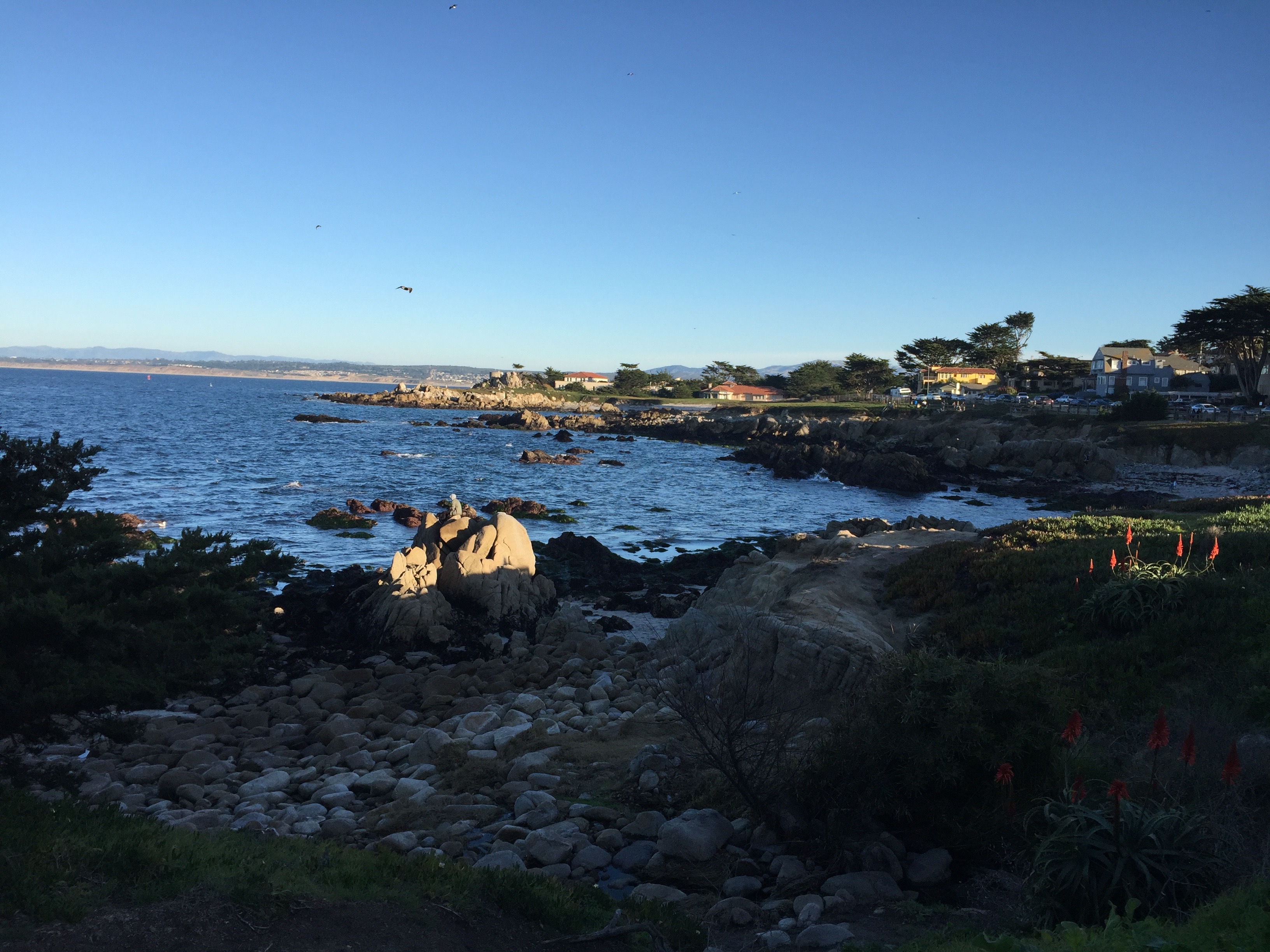 monterey