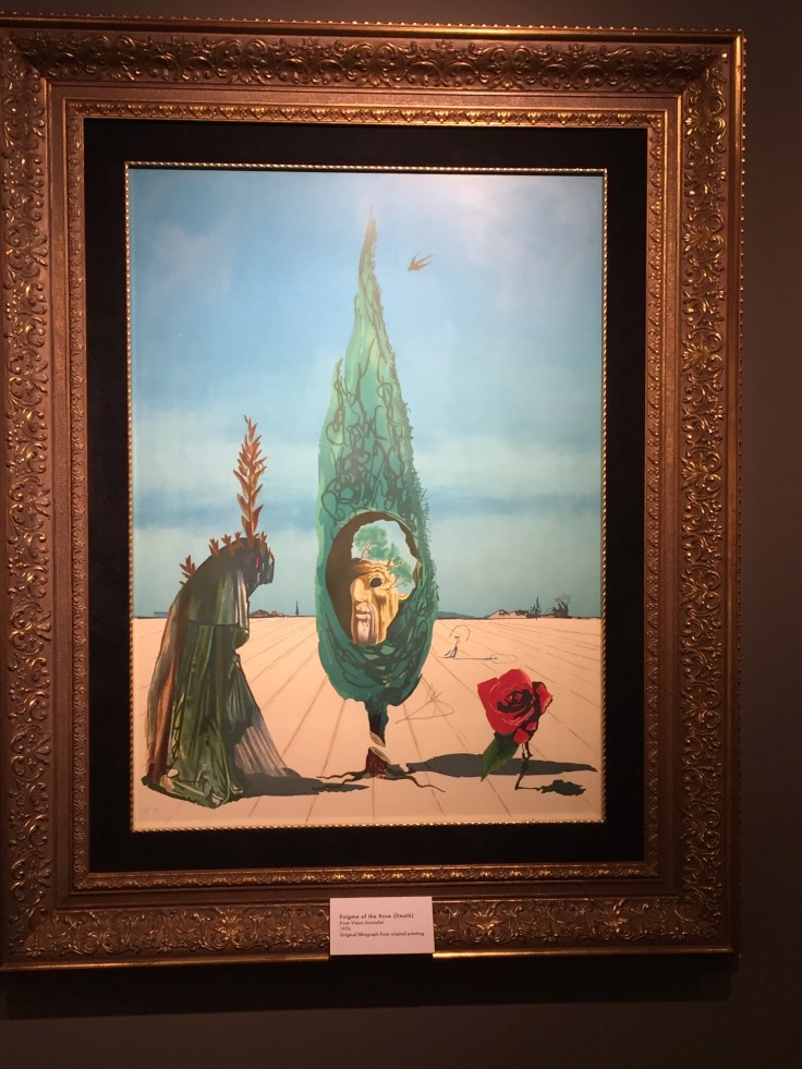 enigma-of-the-rose-death