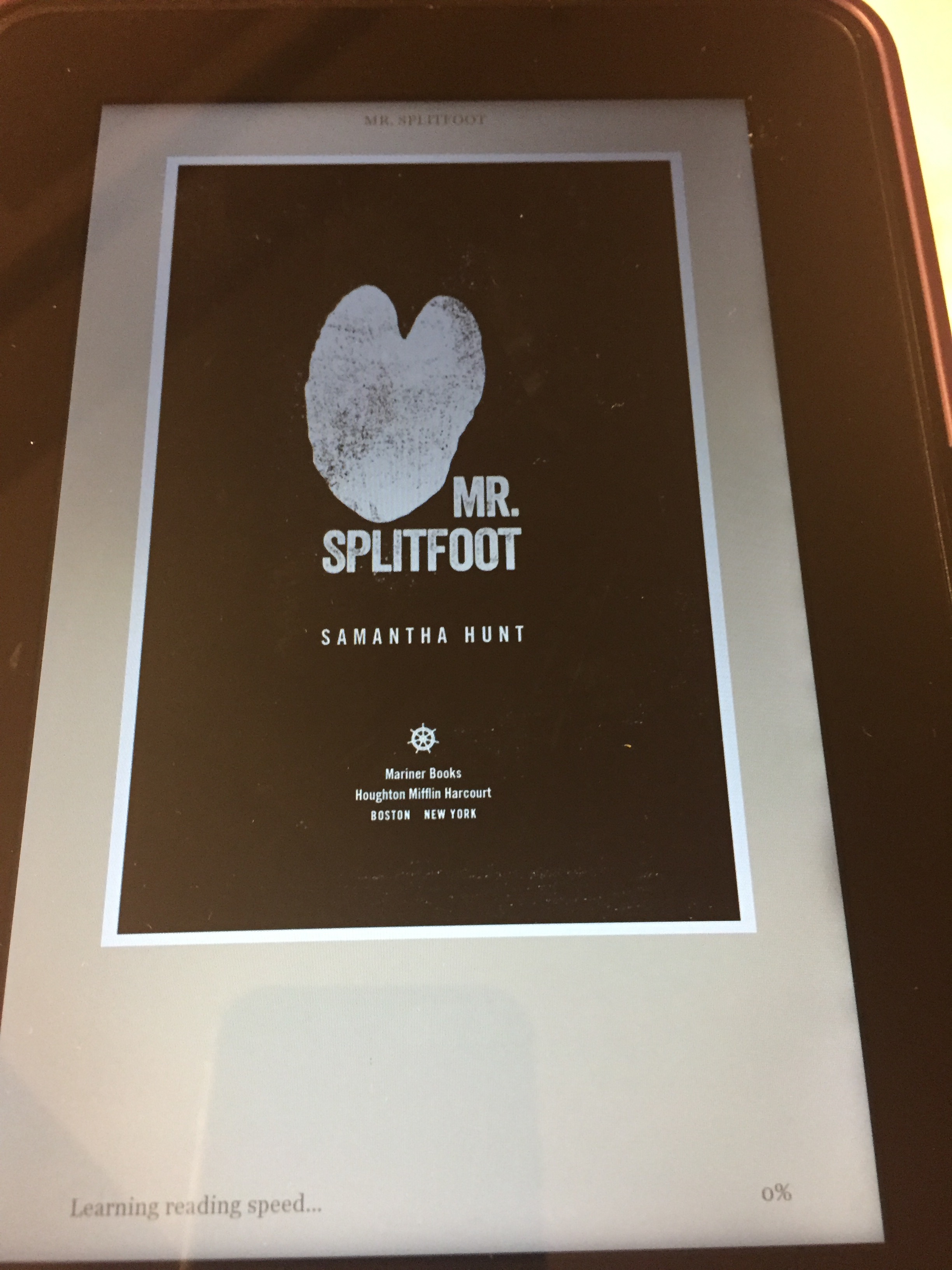 mr-splitfoot-samantha-hunt