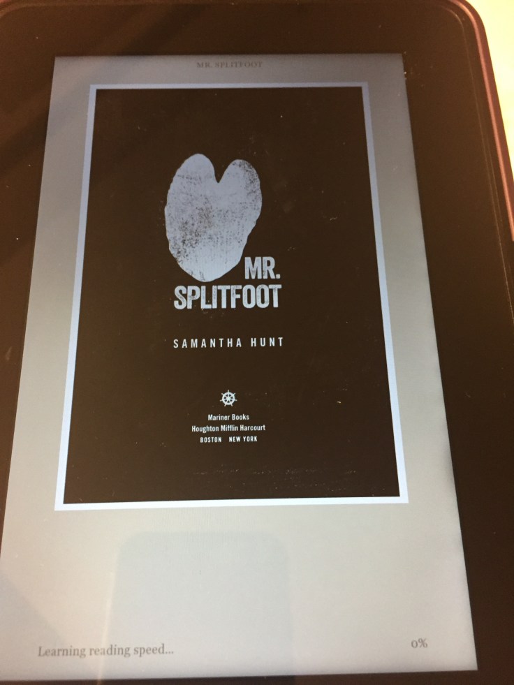 mr-splitfoot-samantha-hunt