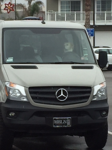 Dog catches movement. A stream of children pour out of school. But not the Dog’s child. Dog thinks: “C’mon! I’m dying here!“