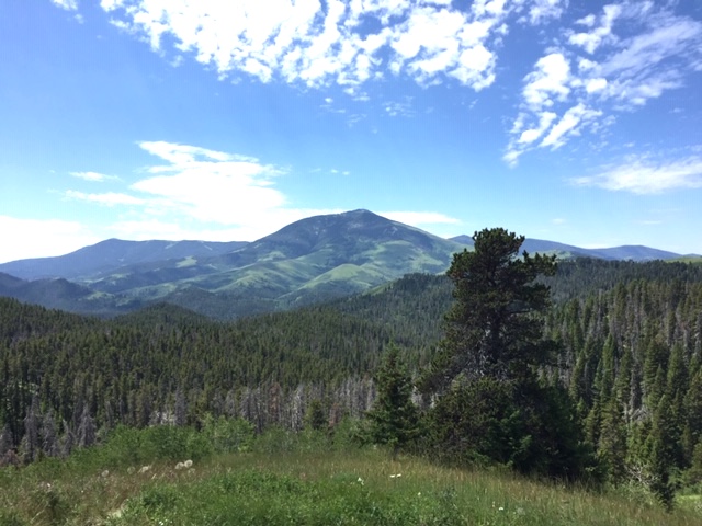 Windy Mtn Highwood MT.JPG